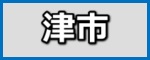 津市の施工事例(ガイナ)