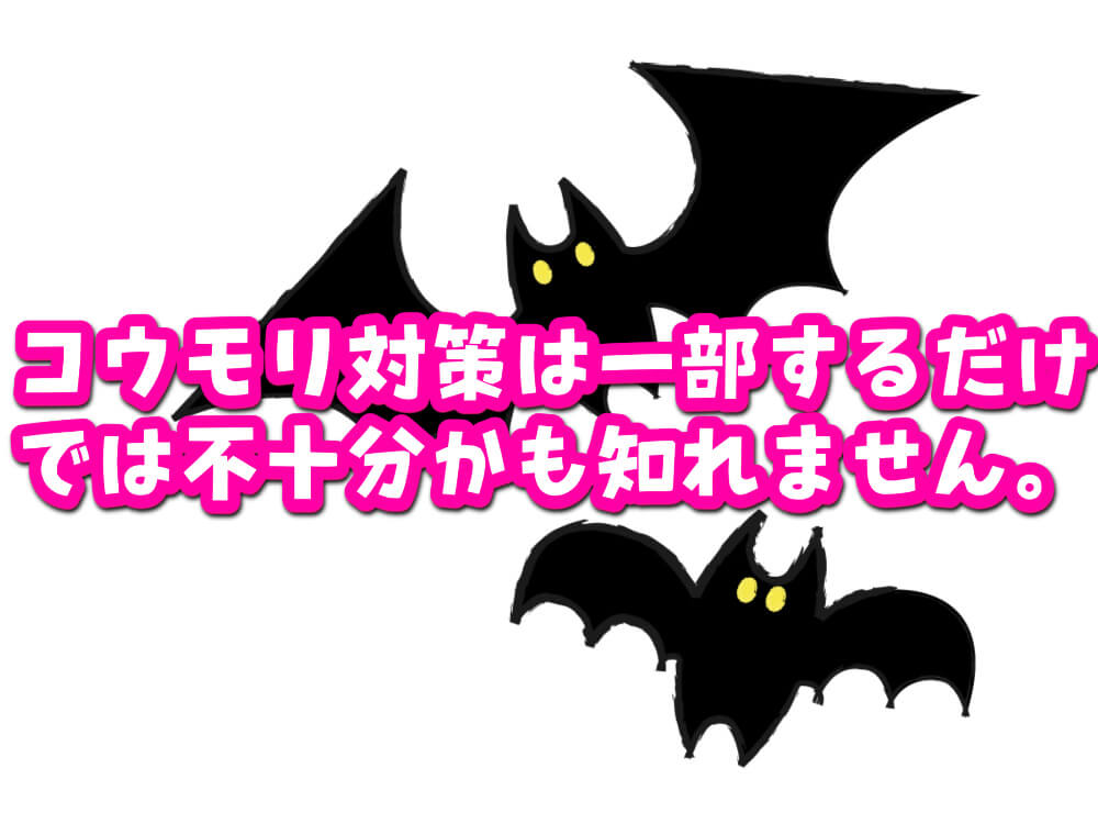 コウモリ対策は一部するだけでは不十分かも知れません。