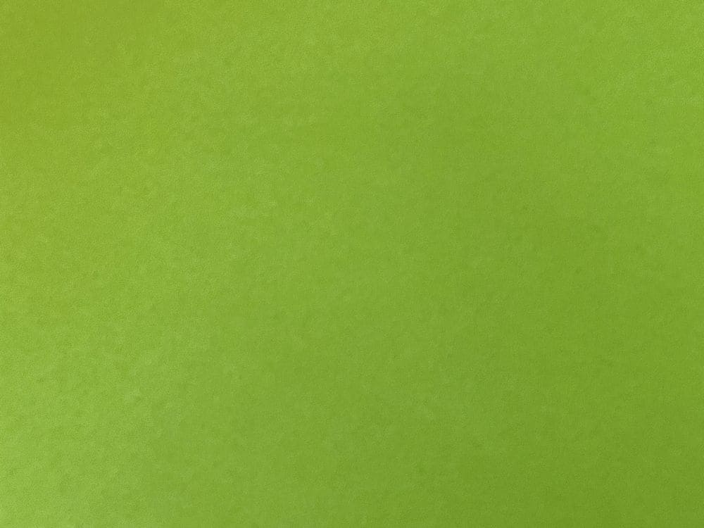 外壁塗装　グリーン